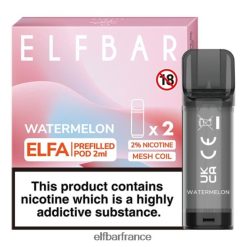 046VN4108 elfbar elfa dosette préremplie - 2 ml - 20 mg (paquet de 2) pastèque