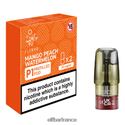 046VN4158 elfbar mate 500 p1 gousses préremplies - 20 mg (paquet de 2) mangue pêche pastèque classique