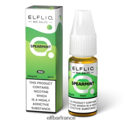 046VN4206 elfbar elfliq sels de menthe verte - 10 ml-5 mg classique