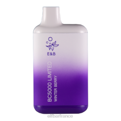 baie d'hiver bc5000 consommateur - 50 mg - unique ELFBAR NX8V48