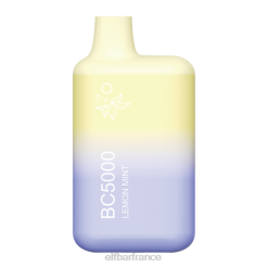 citron menthe bc5000 consommateur - unique ELFBAR NX8V34