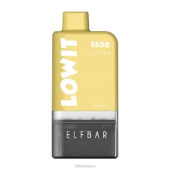 ELFBAR kit de dosettes préremplies lowit 5500 2%nic 2PRT133 mangue