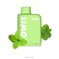 ELFBAR Pod prérempli Lowit 5500 bouffées 2%nic 2PRT141 menthe