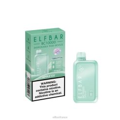 ELFBAR vape jetable nouveau bc10000 10000bouffées 2PRT48 glace aux pommes