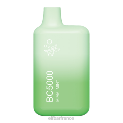 menthe miami eb bc5000 consommateur - 50 mg - unique ELFBAR NX8V14