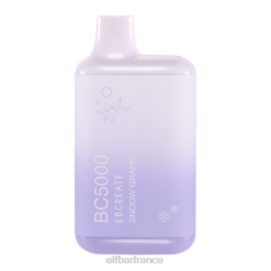 raisin de neige bc5000 consommateur - 50 mg - unique ELFBAR NX8V30