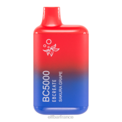 raisin sakura bc5000 consommateur - unique ELFBAR NX8V9