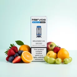 Freemax MS Series Coils – 5 pièces Mesh