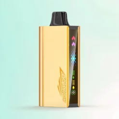 JNR Cruiser 12000 Puffs Vape Jetable 3500mAh