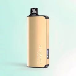 Alibarbar Ingot Vape Jetable 9000 Bouffées
